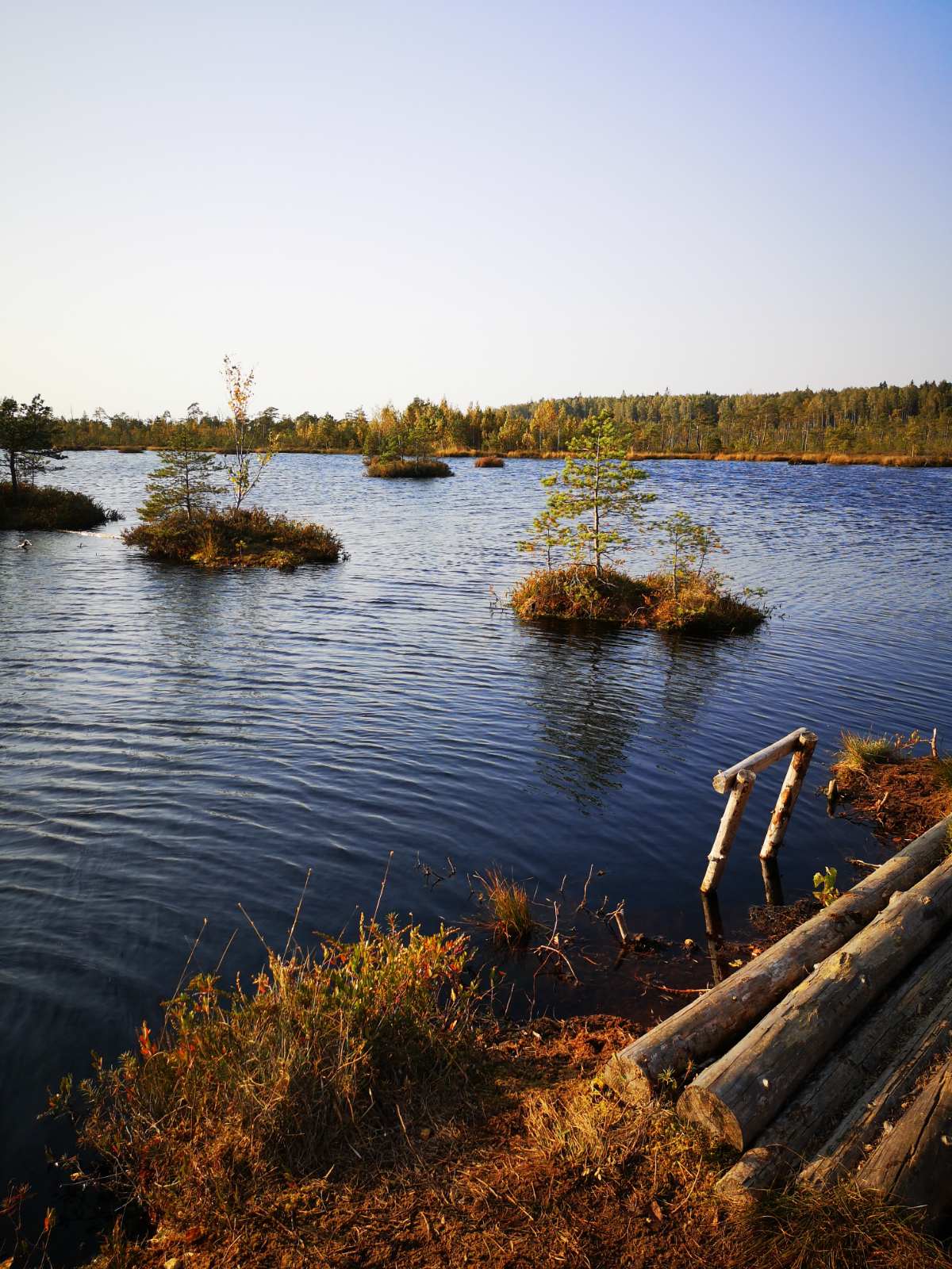 Озеро Ельня Беларусь