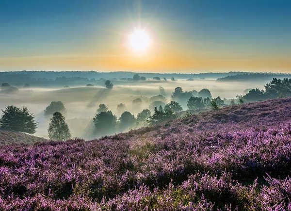 Туры в Голландию